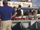 Manatee Transfer