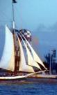 Sailboat
