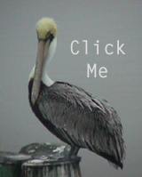 Click Me