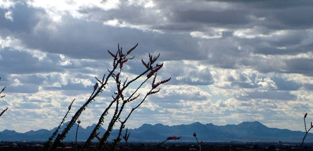 Desert Sky